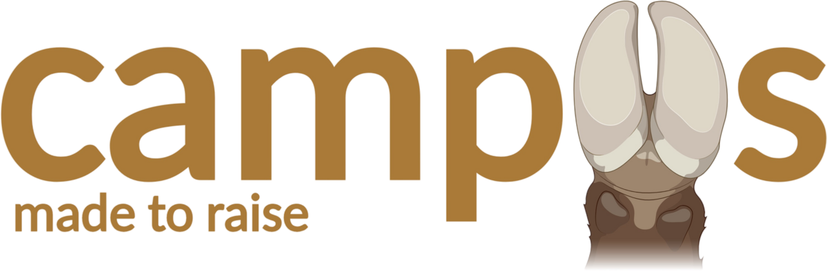 Campus made to raise